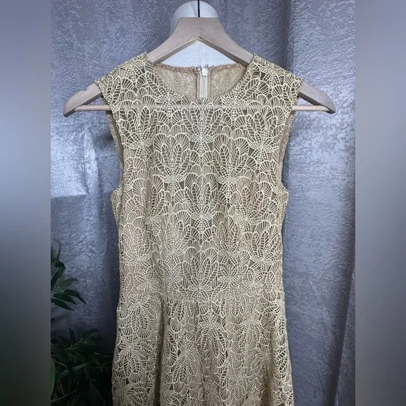 knee length dresses for ladies Scallop Lace Sleeve Midi Dress for Women